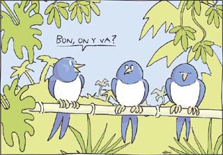 Bon.On y va?