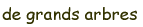 degrandsarbres.gif