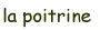 la_poitrine.gif