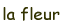 lafleur.gif
