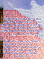 In Flanders fields
