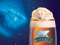 le ours blanc